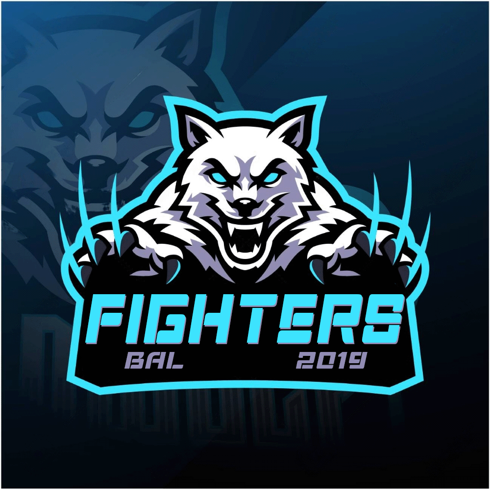 Team Logo